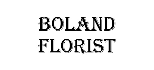 Florist «Boland Florist», reviews and photos, 29517 Ford Rd, Garden City, MI 48135, USA