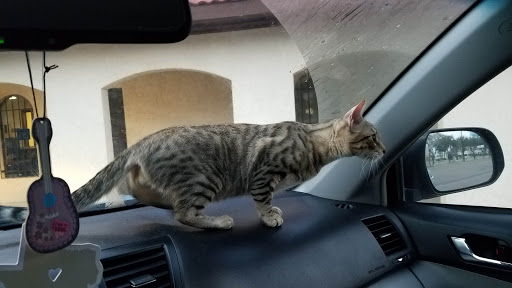 401 W Nolana Ave, McAllen, TX 78504, USA