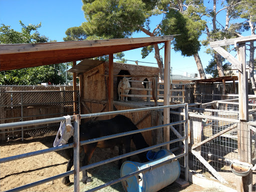 Zoo «Jr Pony Parties», reviews and photos, 1744 N Leonard Ln, Las Vegas, NV 89108, USA