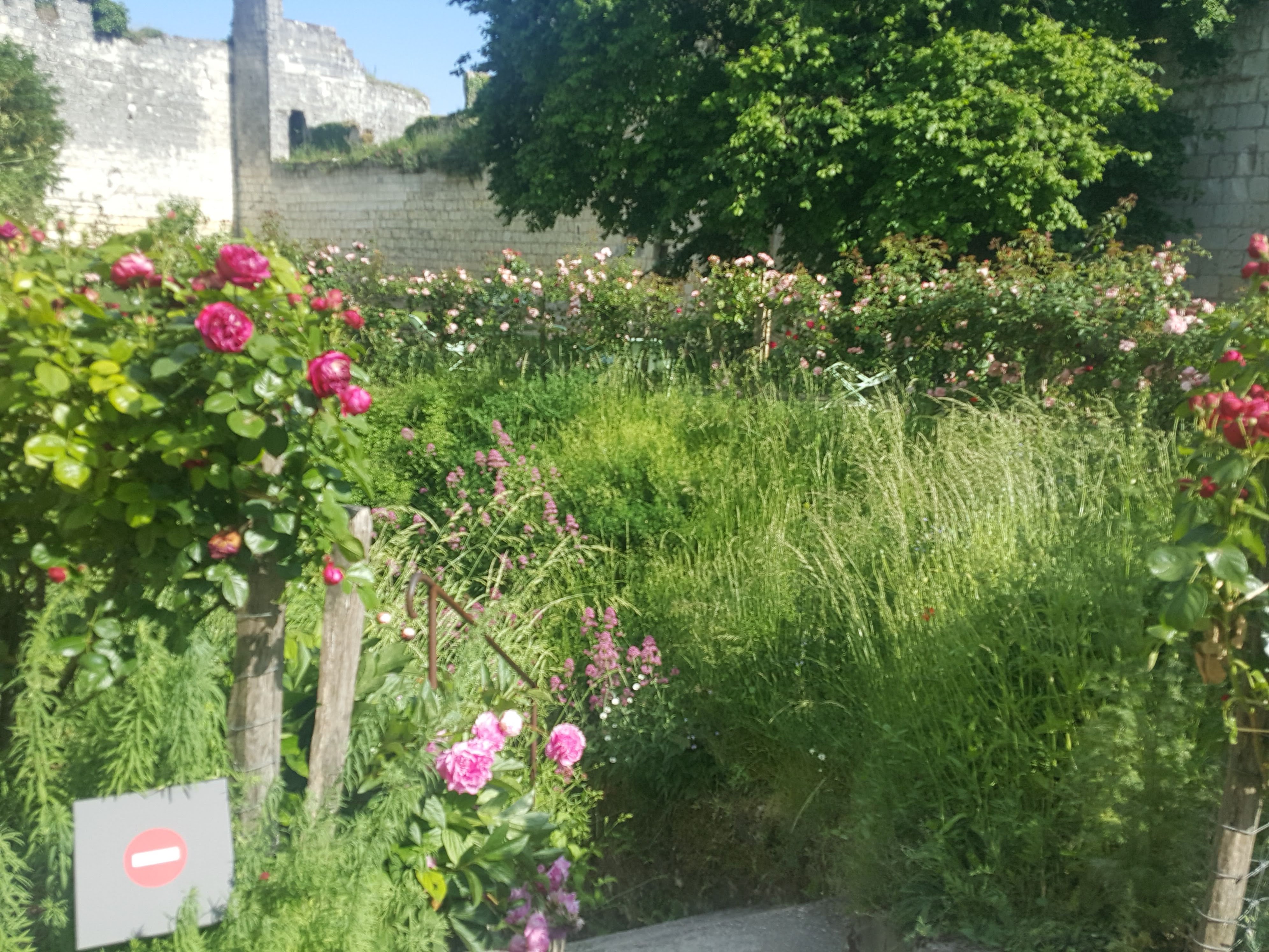 Photo n° 1 de l'avis de Dory.b fait le 12/06/2019 à 14:53