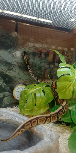 Pet Supply Store «Petco Animal Supplies», reviews and photos, 545 W Prien Lake Rd, Lake Charles, LA 70601, USA