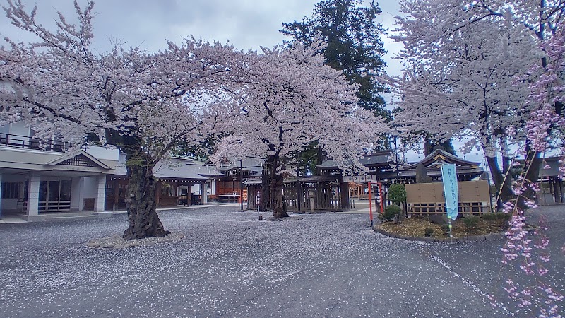 諏訪神社の二本桜