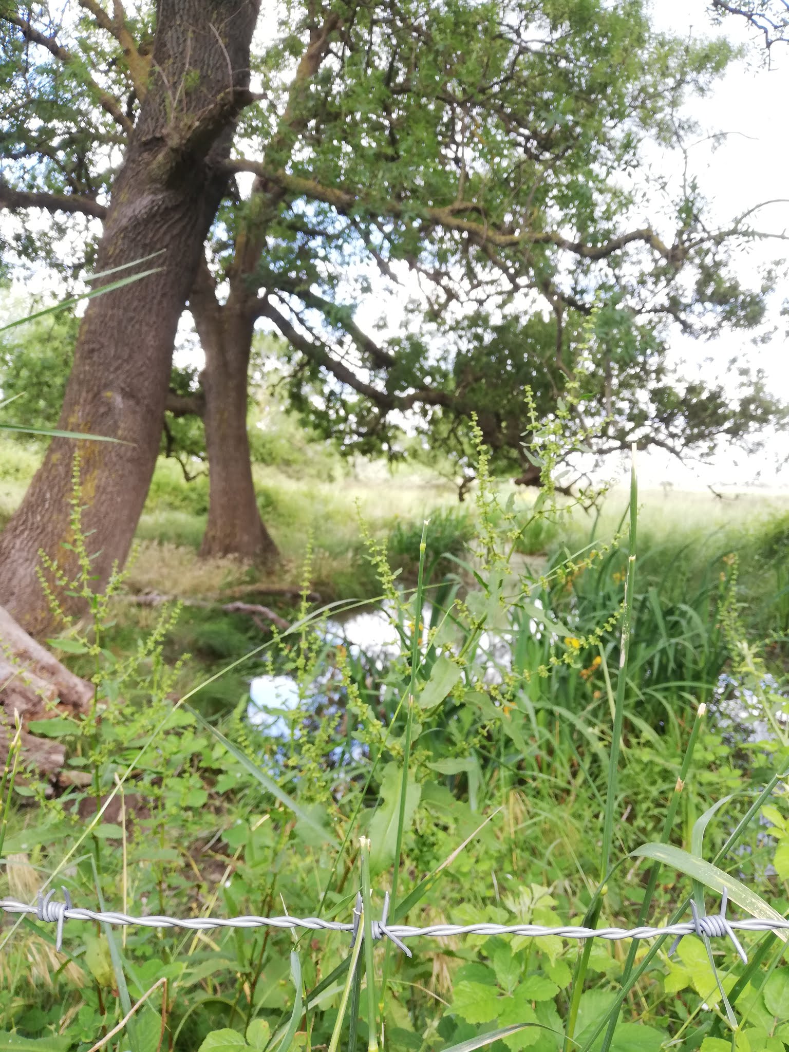 Photo n° 4 de l'avis de Fischer.a fait le 29/05/2019 à 10:53
