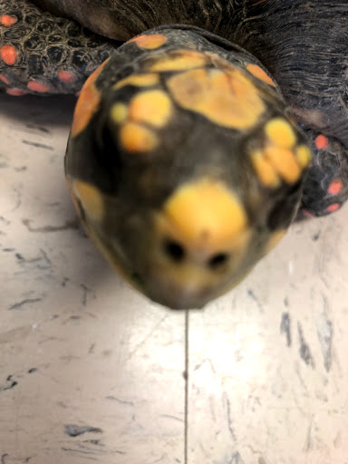 Pet Store «Everything Pet», reviews and photos, 3616 N Fry Rd, Katy, TX 77449, USA