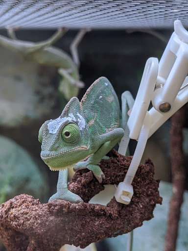 Pet Supply Store «Petco Animal Supplies», reviews and photos, 1419 Towne Square Blvd NW, Roanoke, VA 24019, USA