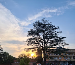 Hout Park photo