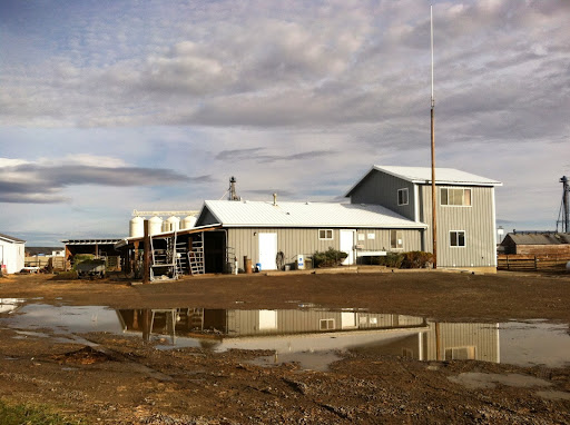 Treasure Veterinary Service image