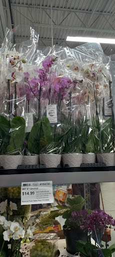 Warehouse club «BJ’s Wholesale Club», reviews and photos, 825 Pelham Pkwy, Pelham Manor, NY 10803, USA