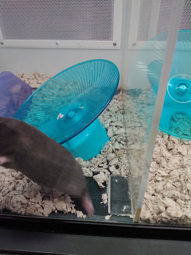 Pet Supply Store «Petco Animal Supplies», reviews and photos, 2005 Dr Martin Luther King Jr Pkwy, Chico, CA 95928, USA