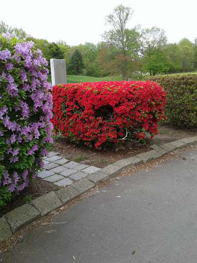 Golf «H Smith Richardson Golf Course», reviews and photos, 2425 Morehouse Hwy, Fairfield, CT 06824, USA