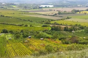 Pálava Protected Landscape Area image