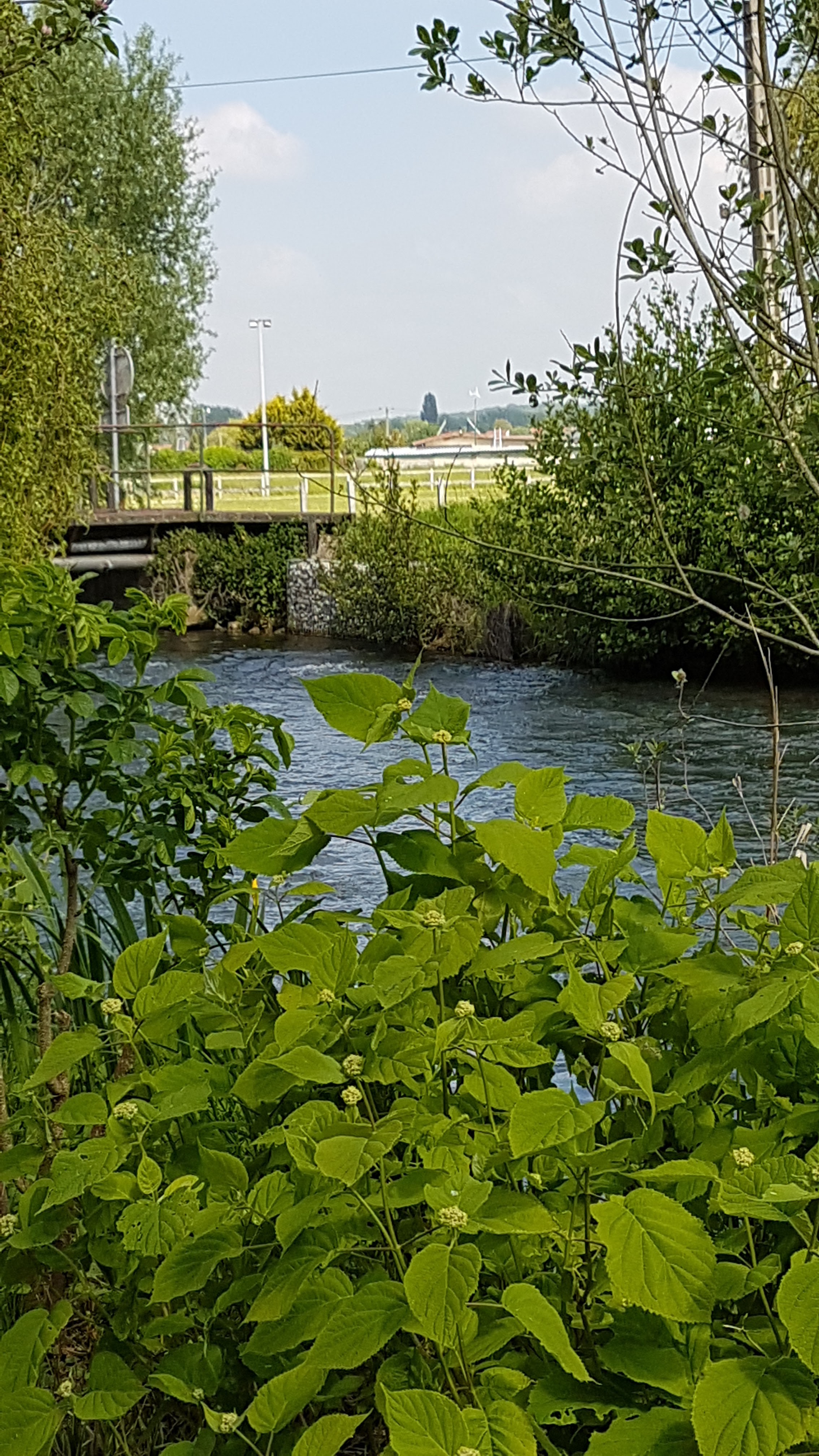 Photo n° 12 de l'avis de Francine.E fait le 31/05/2023 à 07:47