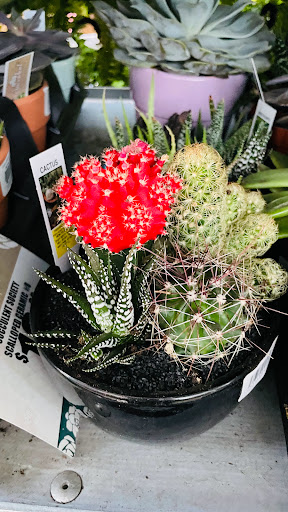 Home Improvement Store «The Home Depot», reviews and photos, 3051 E Main St, Mohegan Lake, NY 10547, USA