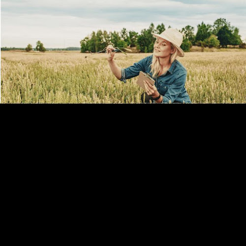 Opinii despre Habza Finanse ️ - kredyt konsolidacyjny i refinansowy. Kredyt dla firm. Konsolidacja chwilówek dla zadłużonych. în Warszawa - Doradca finansowy