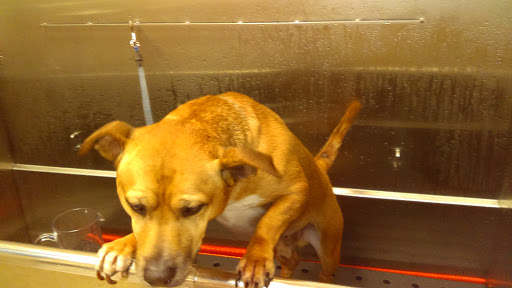 Pet Supply Store «Chow Hound Pet Supplies», reviews and photos, 660 Chicago Dr, Holland, MI 49423, USA