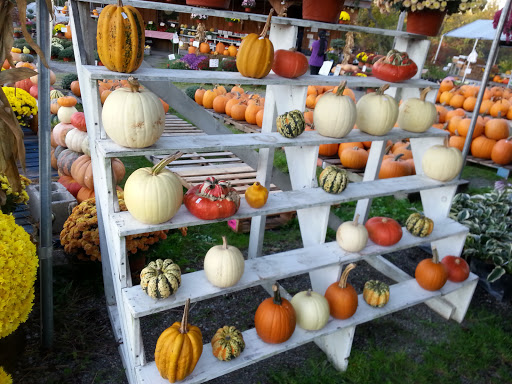 Produce Market «The Bigsby Market», reviews and photos, 1418 Dryden Rd, Freeville, NY 13068, USA