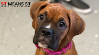 Sit Means Sit Dog Training Tulsa - Photo 2 - Car repair in , Broken Arrow