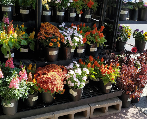 Grocery Store «Ralphs», reviews and photos, 659 E Palomar St, Chula Vista, CA 91911, USA