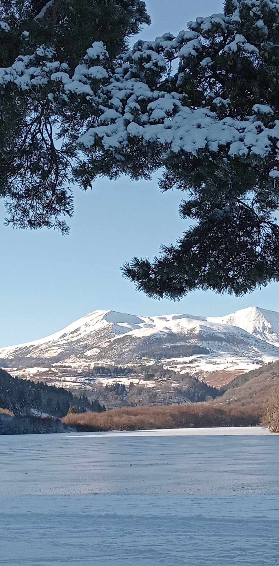 Photo n° 1 de l'avis de Manu.r fait le 18/01/2024 à 16:28