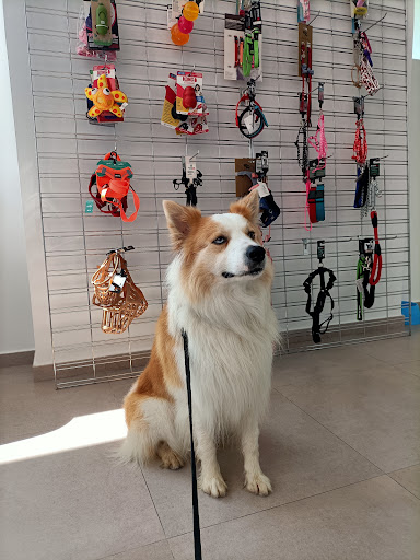 Clínica Veterinaria Inari en Valdemoro