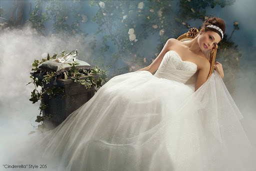 Bridal Shop «Alfred Angelo Bridal», reviews and photos, 11387 Parkside Dr #909, Knoxville, TN 37934, USA