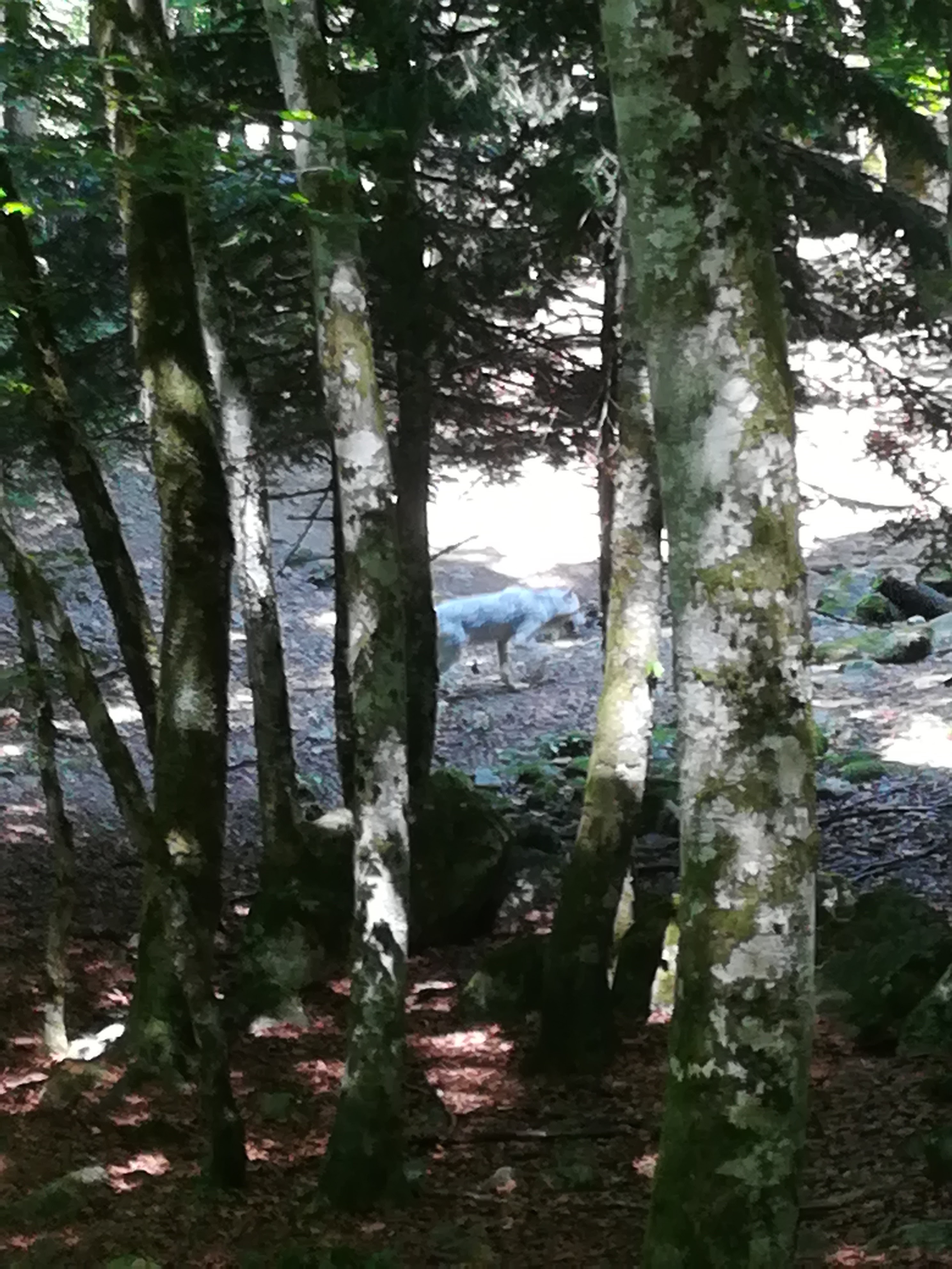 Photo n° 43 de l'avis de Audrey.� fait le 28/07/2017 à 17:11