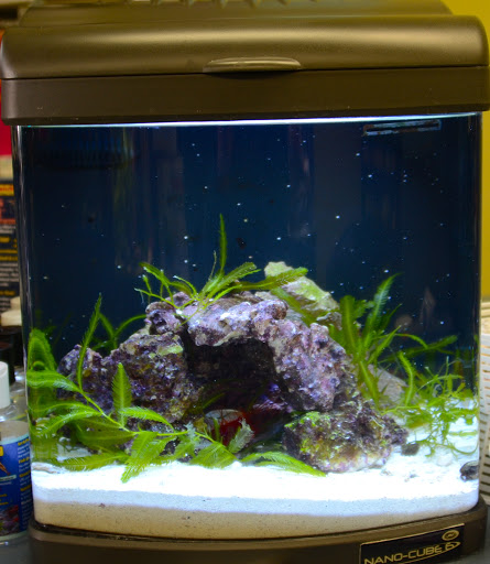 Tropical Fish Store «Life Aquatic», reviews and photos, 9 South Ave, New Canaan, CT 06840, USA