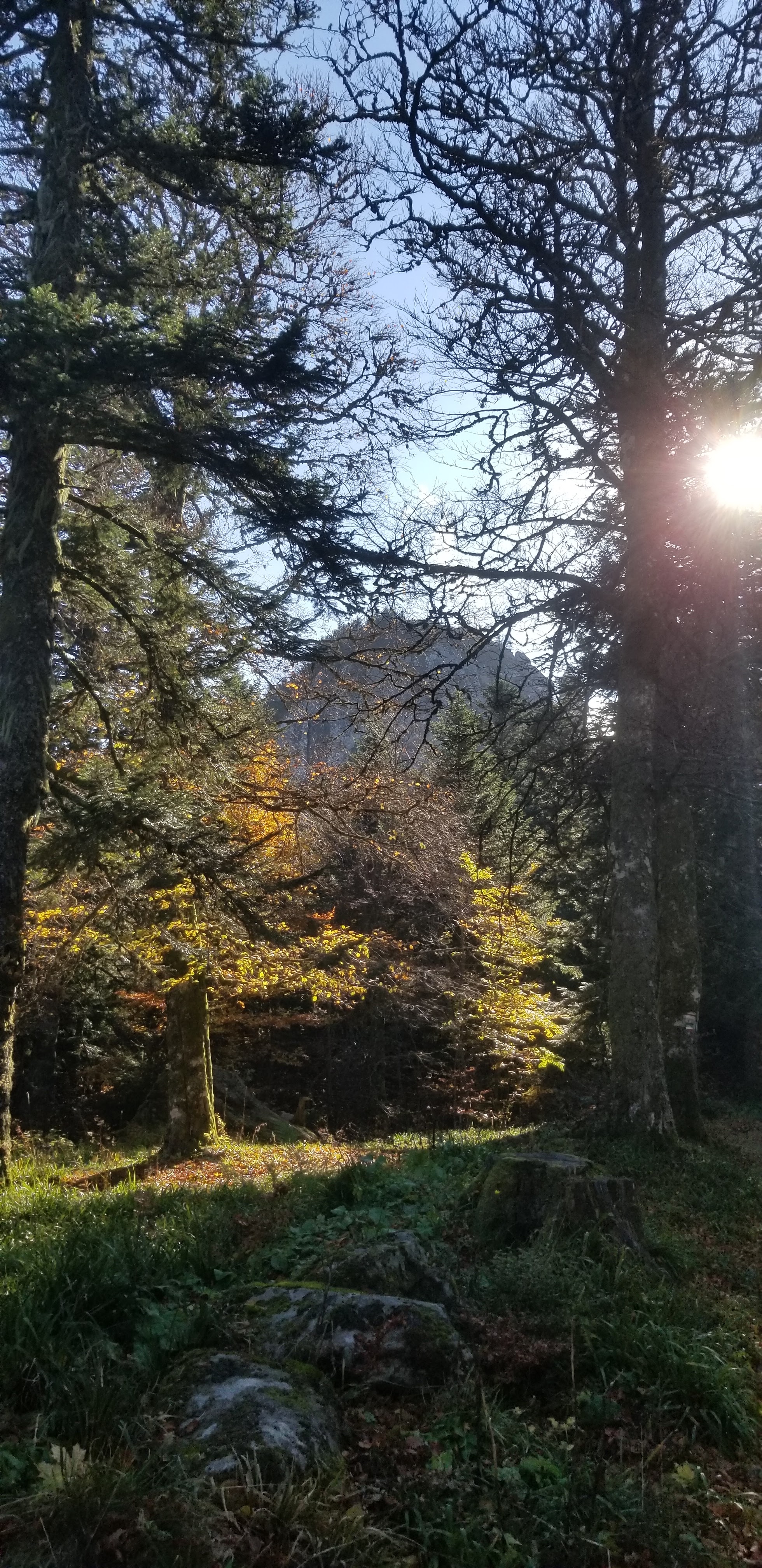 Photo n° 20 de l'avis de Céline.O fait le 28/10/2021 à 15:42