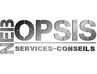 Les services-conseils NebOpsis