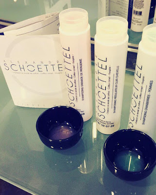 Salon Alexandre Schoettel à Zetting