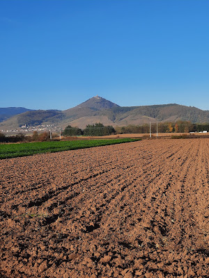 Aire de repos à Sélestat