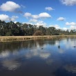 Bushy Park Wetlands