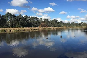 Bushy Park Wetlands image