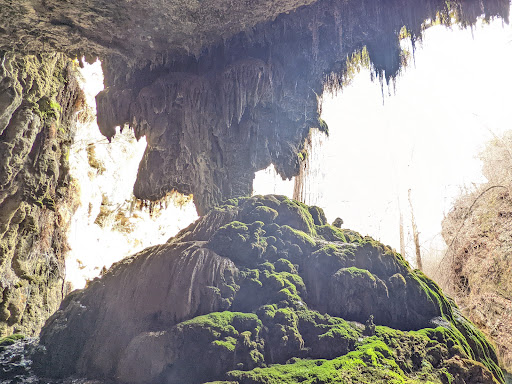 Non-Profit Organization «Westcave Outdoor Discovery Center», reviews and photos, 24814 Hamilton Pool Rd, Round Mountain, TX 78663, USA