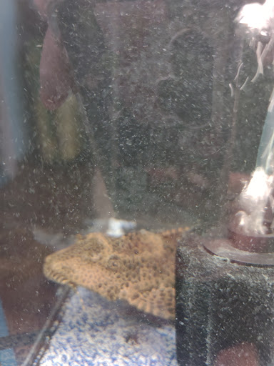 Pet Store «Pet Zone», reviews and photos, 1620 Marion-Mt Gilead Rd, Marion, OH 43302, USA