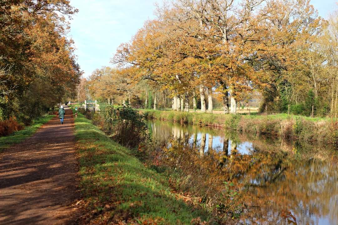 Photo n° 37 de l'avis de Mathias.e fait le 09/09/2023 à 17:27