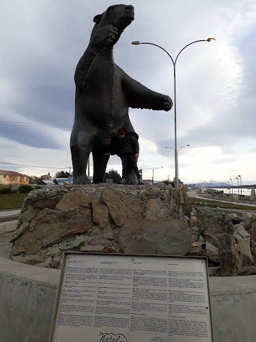 Opiniones de Nova Austral en Punta Arenas - Oficina de empresa
