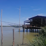 Photo n°2 de l'avis de Paolo.. fait le 02/09/2023 à 17:10 sur le  Il Bilancione à Ariano nel Polesine