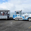 Mount Maunganui "Pepi Toot" Beach Express