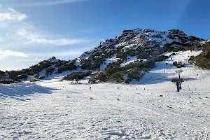 Cresta Valley - Mount Buffalo National Park image