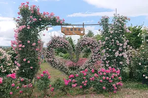 Sato Pear Orchard Rose Garden image