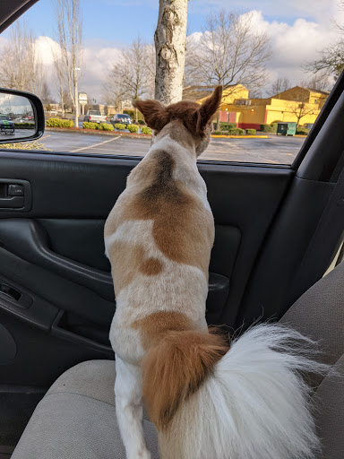 Pet Supply Store «PetSmart», reviews and photos, 17585 Southcenter Pkwy, Tukwila, WA 98188, USA