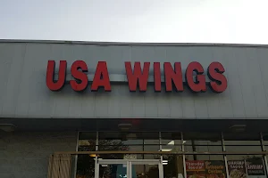 USA Wings image