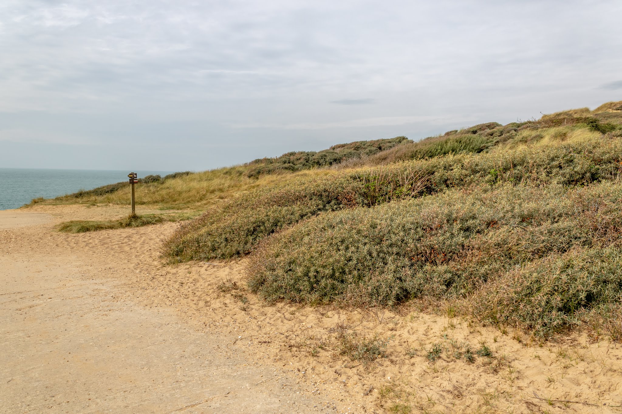 Photo n° 15 de l'avis de Geoffrey.o fait le 18/09/2019 à 15:24