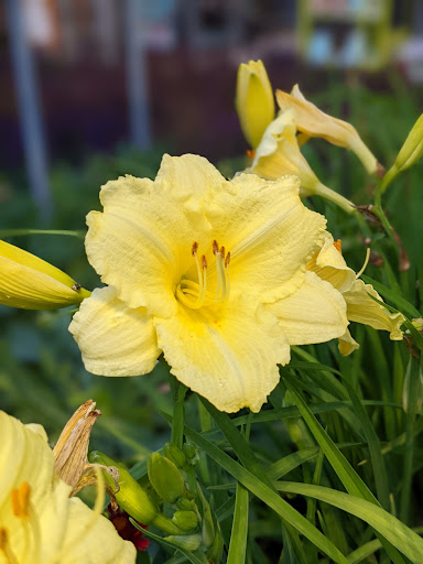 Home Improvement Store «The Home Depot», reviews and photos, 9051 Snowden River Pkwy, Columbia, MD 21046, USA