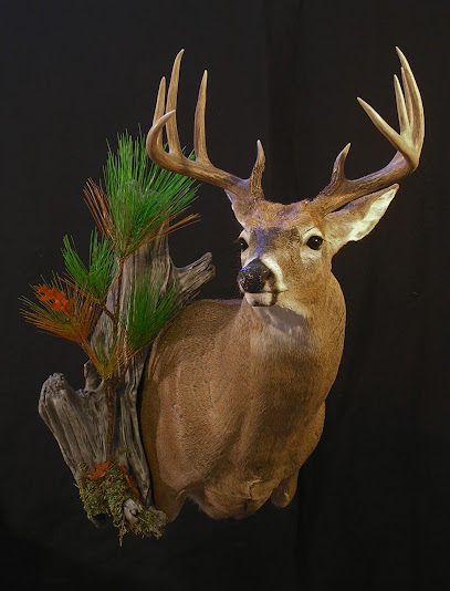 Two Rivers Taxidermy