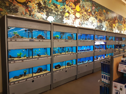 Pet Supply Store «Petco Animal Supplies», reviews and photos, 244 Pioneer Trail, Chaska, MN 55318, USA