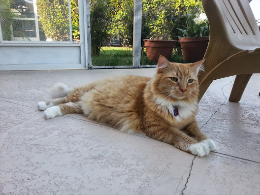 Golf Club «Stoneybrook Golf Club», reviews and photos, 21251 Stoneybrook Golf Blvd, Estero, FL 33928, USA