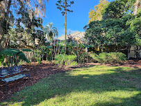 R&G Luxury Landscaping and Design LLC - Photo 7 - Car repair in , Orlando