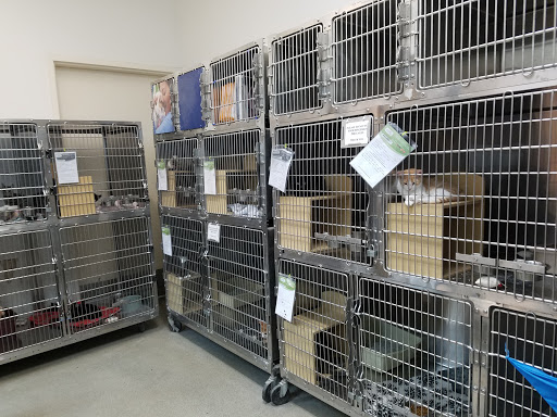 Pet Supply Store «PetSmart», reviews and photos, 3220 W Shaw Ave, Fresno, CA 93711, USA